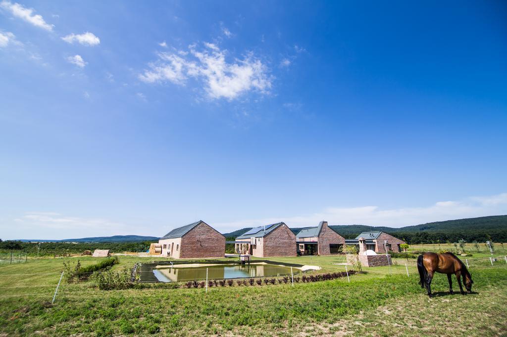 Oeregtoelgy Vendeghaz Villa Szar Exterior photo